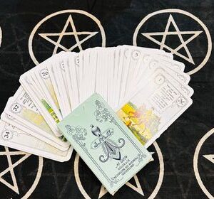 Mlle Lenormand fortune telling cards No;12274